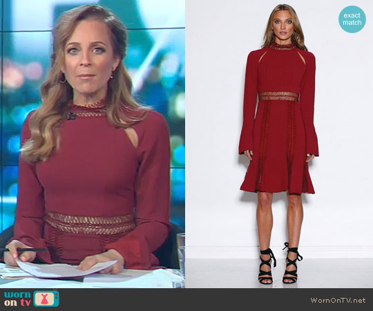 Ministry Of Style Azzedine Dress worn by Carrie Bickmore on The Project