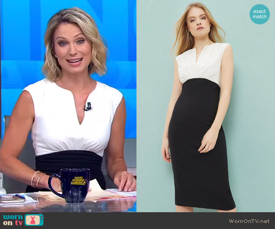 Ted Baker Adeba Dress worn by Amy Robach on Good Morning America