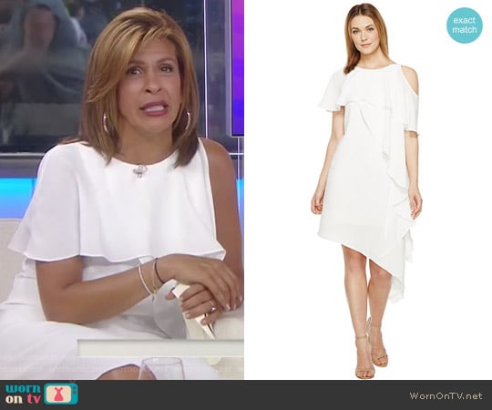 Adrianna Papell Novelty Gauzy Crepe Cold Shoulder Asymmetric Dress worn by Hoda Kotb on Today