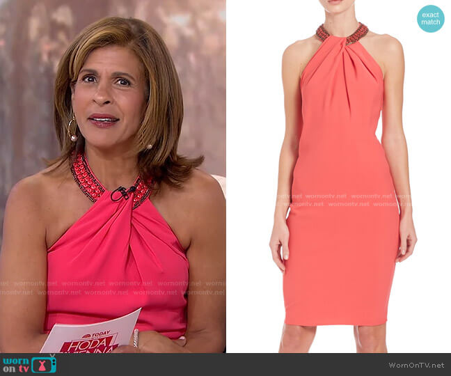 Carmen Marc Valvo Beaded Neck Toga Dress worn by Hoda Kotb on Today