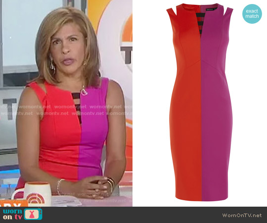 Karen Millen Two Tone Pencil Dress worn by Hoda Kotb on Today