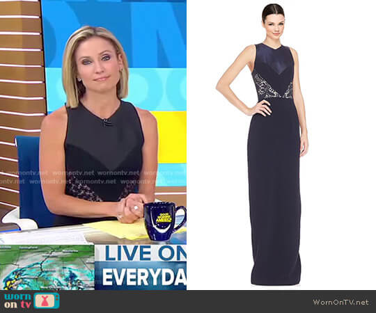 Theia Lace Inset Dress worn by Amy Robach on Good Morning America