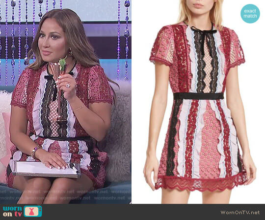 Self Portrait Paneled Bellis Lace Minidress worn by Adrienne Houghton on The Real