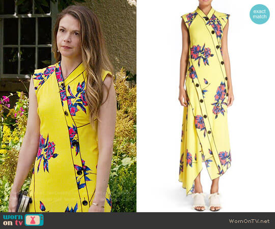 Proenza Schouler Floral Print Silk Georgette Dress worn by Liza Miller (Sutton Foster) on Younger