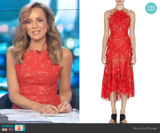 Acler Addison Dress worn by Carrie Bickmore on The Project