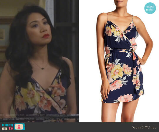 Joie Foxglove Ruffle Dress worn by Eve Roberts (Liza Lapira) on 9JKL