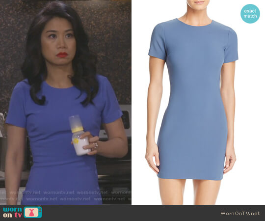Likely Manhattan Dress worn by Eve Roberts (Liza Lapira) on 9JKL