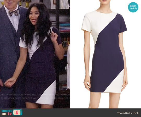 Likely Color Block Manhattan Dress worn by Eve Roberts (Liza Lapira) on 9JKL