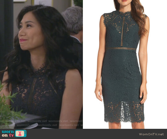Bardot Lace Sheath Dress worn by Eve Roberts (Liza Lapira) on 9JKL