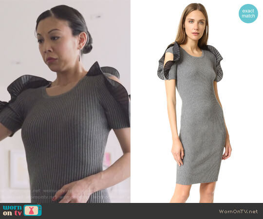 Opening Ceremony Ruffle Sleeve Dress worn by Tina Minoru (Brittany Ishibashi) on Marvels Runaways