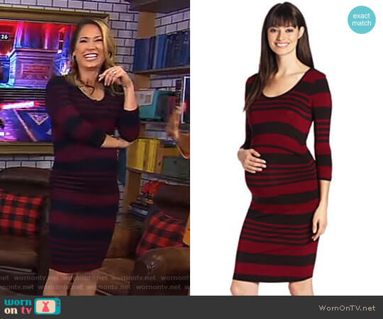 Ripe Maternity Stripe Nursing Tube Wine Maternity Dress worn by Ginger Zee on Good Morning America