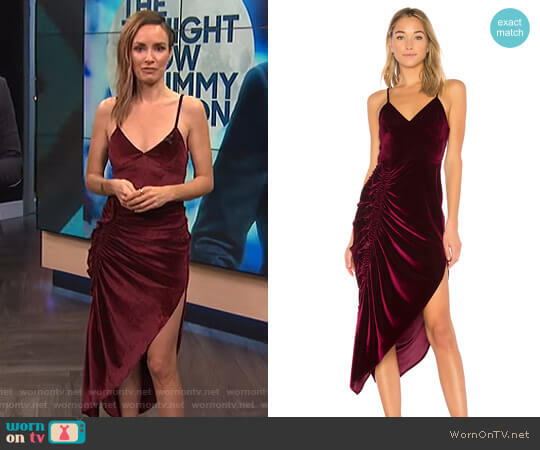 Ronny Kobo Ahn Velvet Dress worn by Catt Sadler on E! News