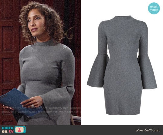 Milly Bell Sleeve Fitted Dress worn by Lily Winters (Christel Khalil) on The Young and the Restless