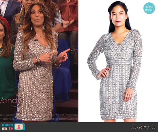 Adrianna Papell Stud Beaded Sheath Dress with Sheer Long Sleeves worn by Wendy Williams on The Wendy Williams Show