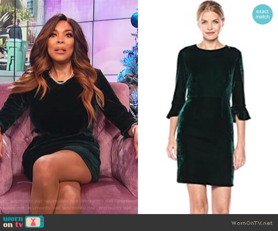 Donna Morgan Green 3/4 Bell Velvet Sheath Dress worn by Wendy Williams on The Wendy Williams Show