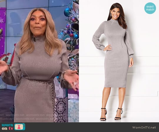 Eva Mendes Collection Catrina Metallic Sweater Dress worn by Wendy Williams on The Wendy Williams Show