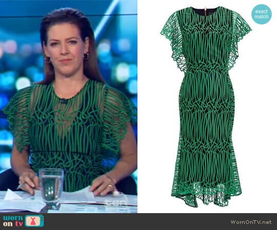 Ginger and Smart Gloria Dress with Sleeve worn by Gorgi Coghlan on The Project