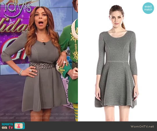 Milly Textured Fit-and-Flare Sweater Dress worn by Wendy Williams on The Wendy Williams Show