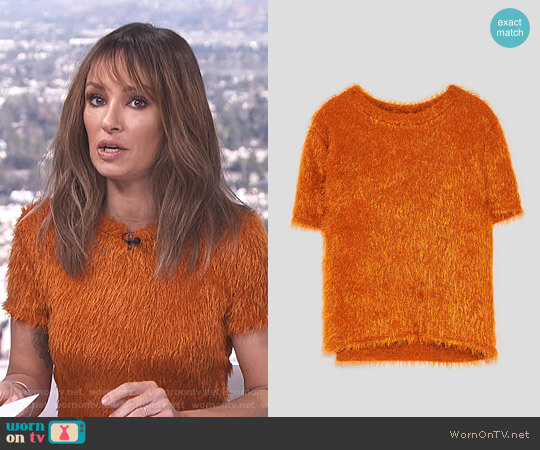 Zara Faux Fur Top worn by Catt Sadler on E! News