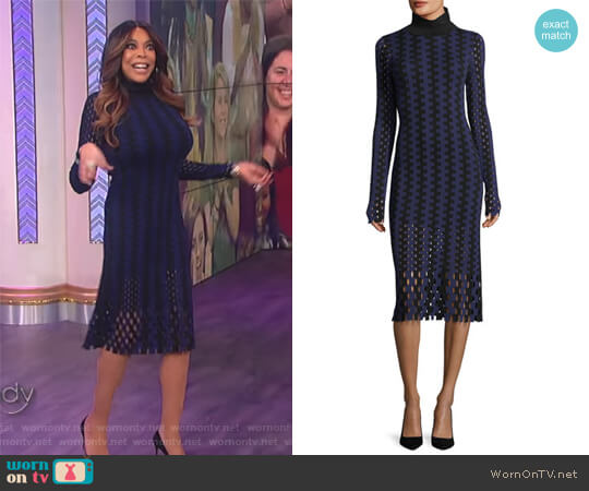 Diane von Furstenberg Turtleneck Merino Wool Midi Dress worn by Wendy Williams on The Wendy Williams Show
