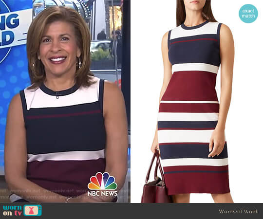Hobbs Grace Block-Stripe Dress worn by Hoda Kotb on Today