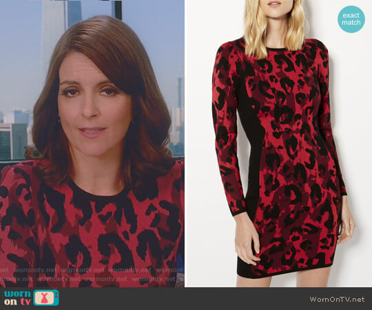 Karen Millen Leopard Pencil Dress worn by Diana St. Tropez (Tina Fey) on Great News