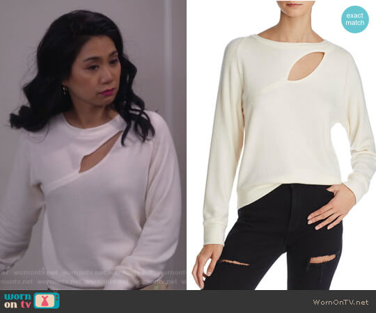LNA Phased Brushed Cutout Sweater worn by Eve Roberts (Liza Lapira) on 9JKL