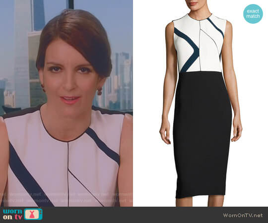 Narciso Rodriguez Graphic-Print Sleeveless Sheath Dress worn by Diana St. Tropez (Tina Fey) on Great News
