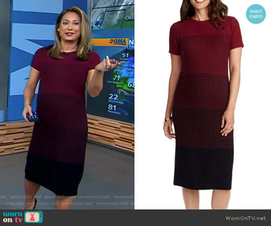 Rosie Pope Daisy Ombré Maternity T-Shirt Dress worn by Ginger Zee on Good Morning America