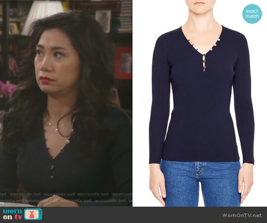 Sandro Olga V-Neck Sweater worn by Eve Roberts (Liza Lapira) on 9JKL