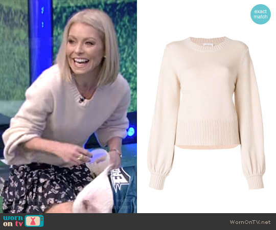Chloe Bell Sleeved Sweater worn by Kelly Ripa on Live with Kelly and Mark