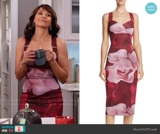 Ted Baker Mallie Porcelain Rose Dress