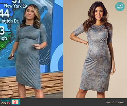 Tiffany Rose Anna Maternity Shift Dress in Bronze Blue worn by Ginger Zee on Good Morning America