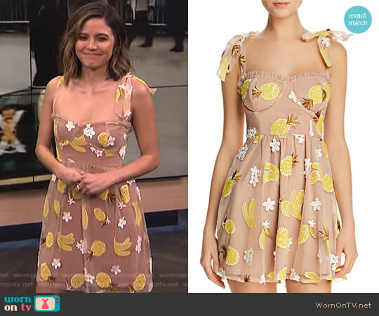For Love & Lemons Embellished Mini Dress worn by Erin Lim on E! News