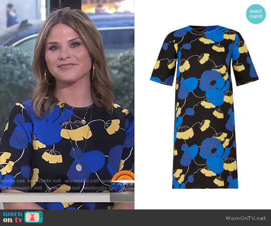 Marni Celeste Printed Dress worn by Jenna Bush Hager on Today