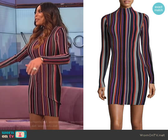 Ronny Kobo Stripe Sheath Dress worn by Wendy Williams on The Wendy Williams Show