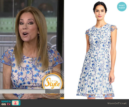 Adrianna Papell Floral Vine Embroidered Dress With Cap Sleeves worn by Kathie Lee Gifford on Today