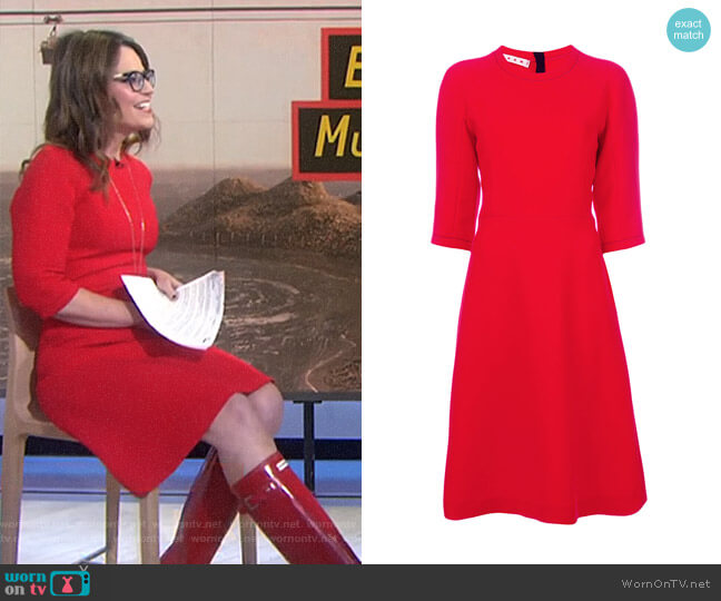 Marni Flared Shift Dress worn by Savannah Guthrie on Today