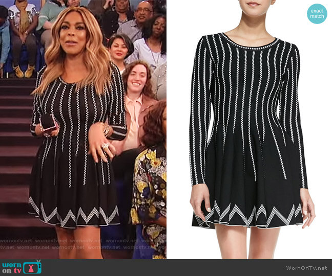 Charlie Jade Dot-Striped Fit-And-Flare Dress worn by Wendy Williams on The Wendy Williams Show