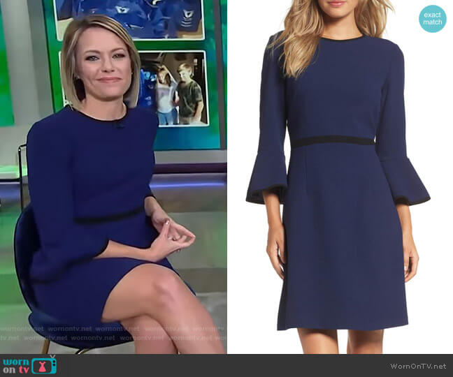 Eliza J Fit & Flare Dress worn by Dylan Dreyer on Today