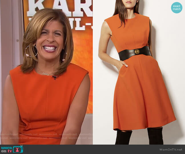 Karen Millen Panelled A-Line Dress worn by Hoda Kotb on Today