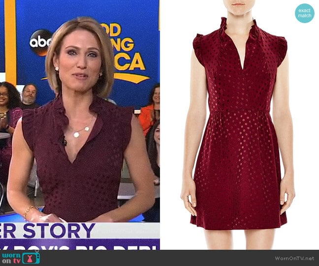 Sandro Jasmine Dot Print Dress worn by Amy Robach on Good Morning America