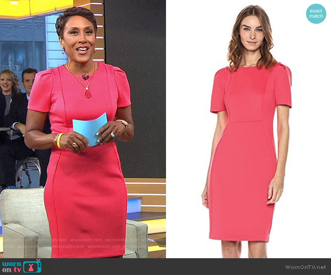 Calvin Klein Short Sleeved Sheath with Princess Seams Dress worn by Robin Roberts on Good Morning America