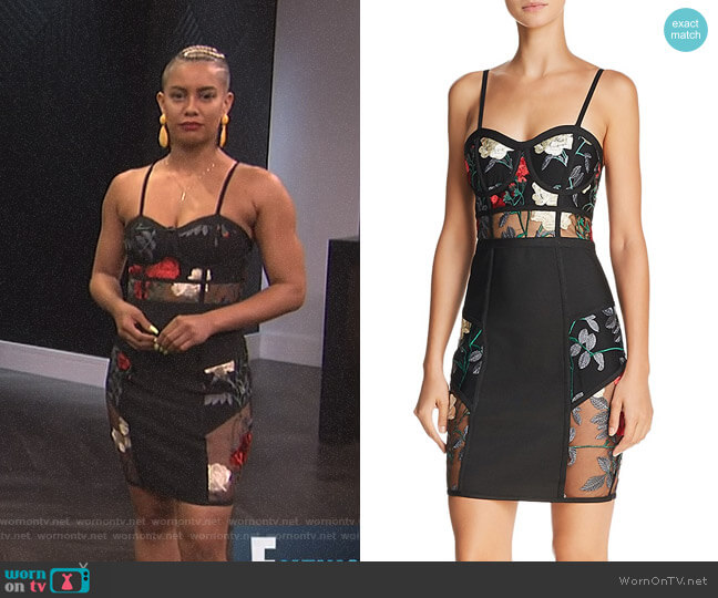 Wow Couture Sheer-Inset Embroidered Dress worn by Sibley Scoles on E! News