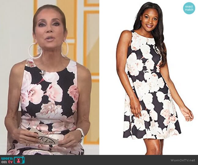 Adrianna Papell Fitted A-Line Sleeveless Dress worn by Kathie Lee Gifford on Today