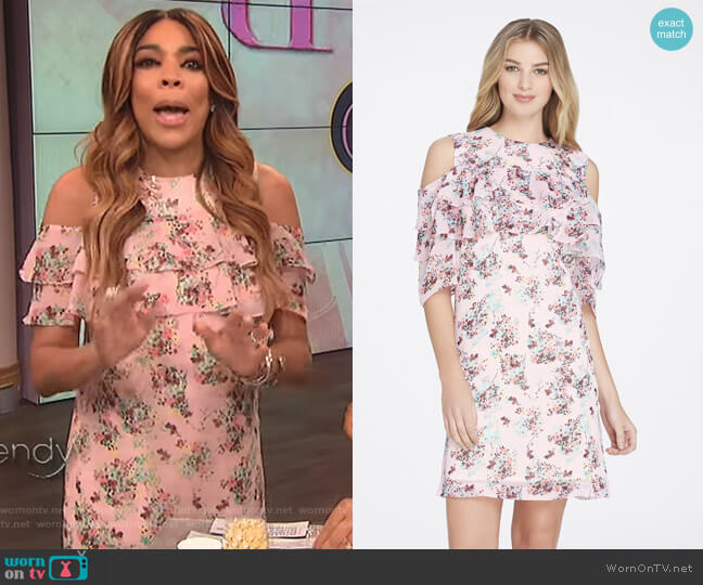 Tahari ASL Ruffled Flounce Chiffon Shift Dress worn by Wendy Williams on The Wendy Williams Show