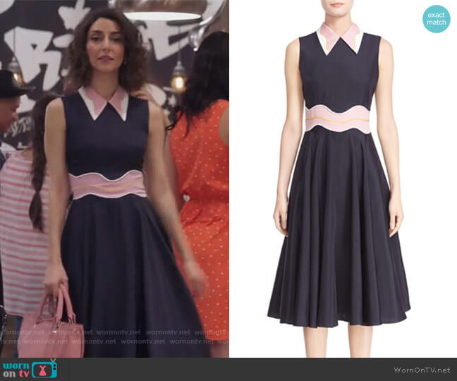 Roksanda Varga Sleeveless midi Dress worn by Delia (Necar Zadegan) on Girlfriends Guide to Divorce