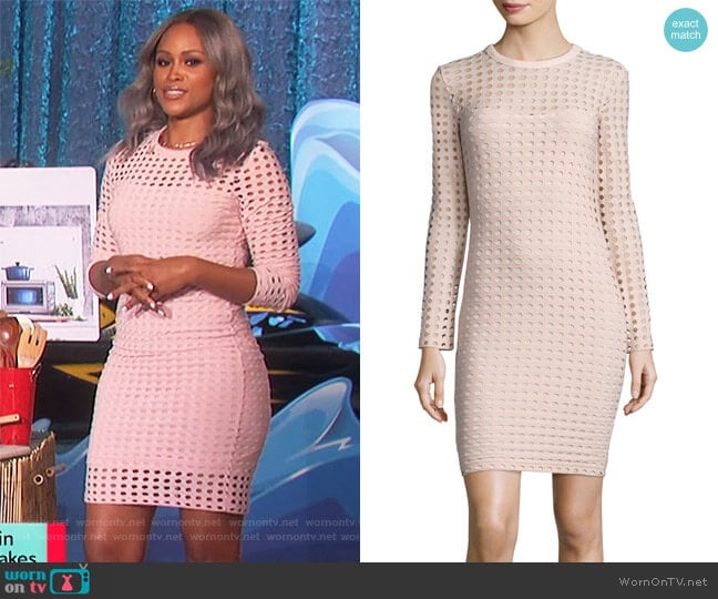 T by Alexander Wang Long-Sleeve Jacquard Eyelet Mini Dress worn by Eve on The Talk