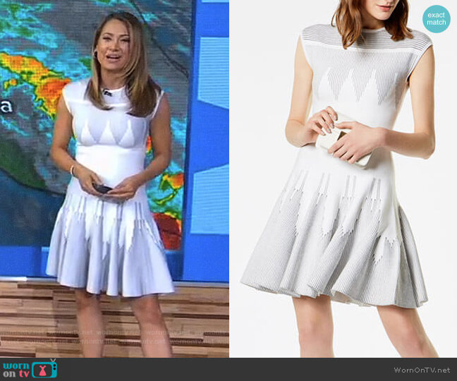 Karen Millen Zig Zag Knit Dress worn by Ginger Zee on Good Morning America