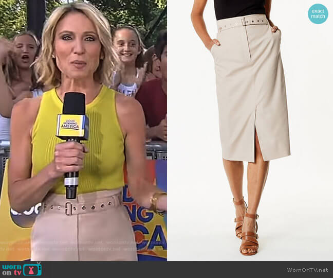 Karen Millen Belted Utility Skirt worn by Amy Robach on Good Morning America